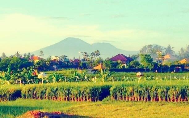 The Hideaway Canggu Buitenkant foto